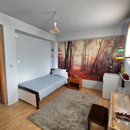 Feriehus La De Rosses- Halkidiki