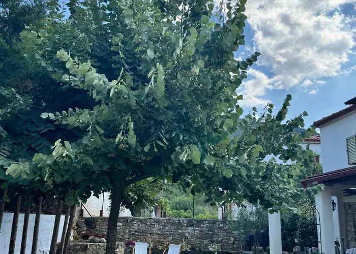 펜션 La De Rosses- Halkidiki *
